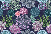 Succulents. Vector flowers, a Decorative Illustration by irina.vaneeva (Thumbnail 5 of 5)