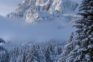 Winter morning in the forest and mountains