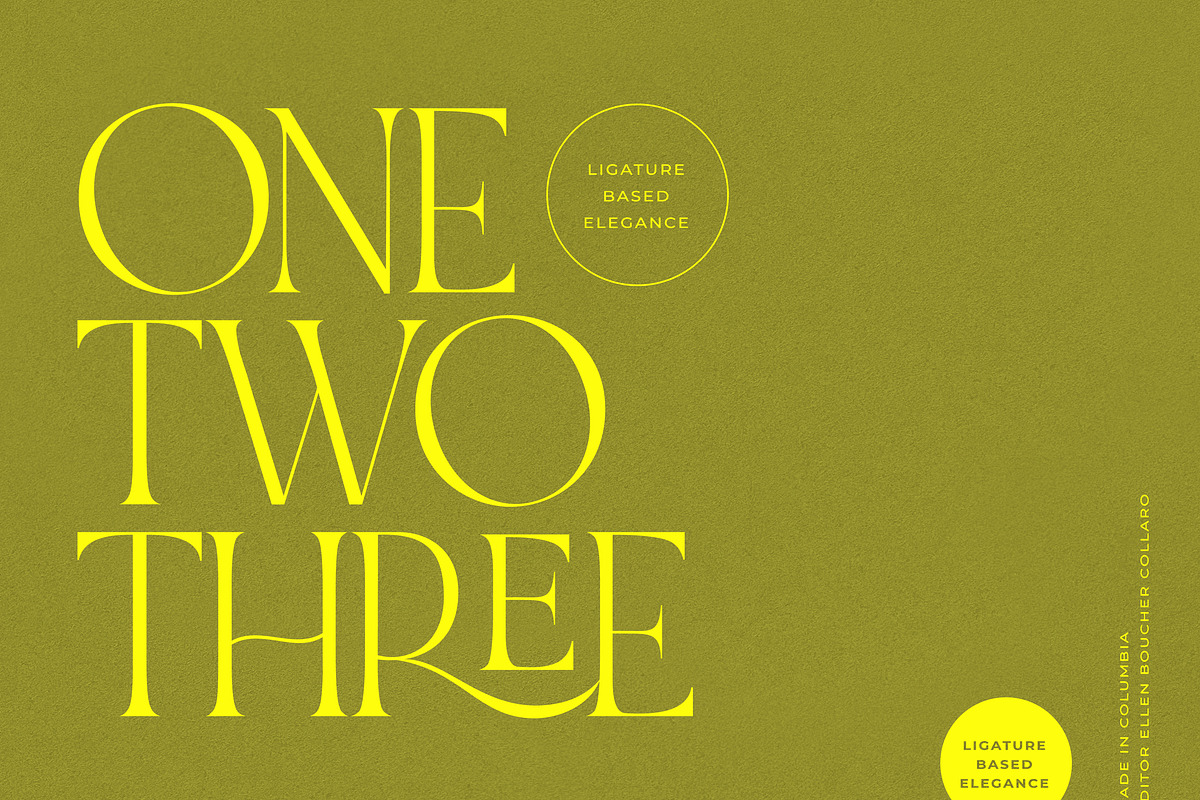 NOIR et BLANC Stylish Serif, a Serif Font by Nicky Laatz (Photo 35 of 41)