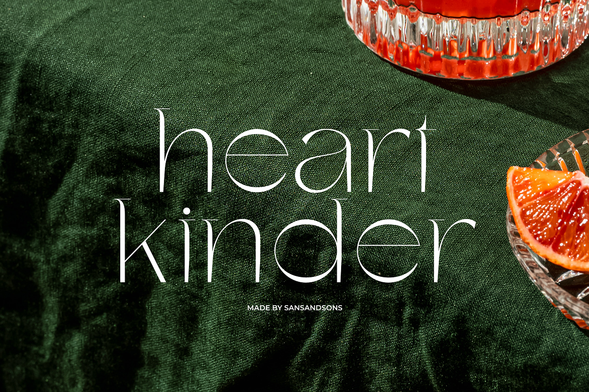 Charis - Moderne Sans, a Sans Serif Font by Sans & Sons (Photo 4 of 7)