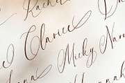 Brown Amsonia, a Script Font by Nathatype (Thumbnail 2 of 10)