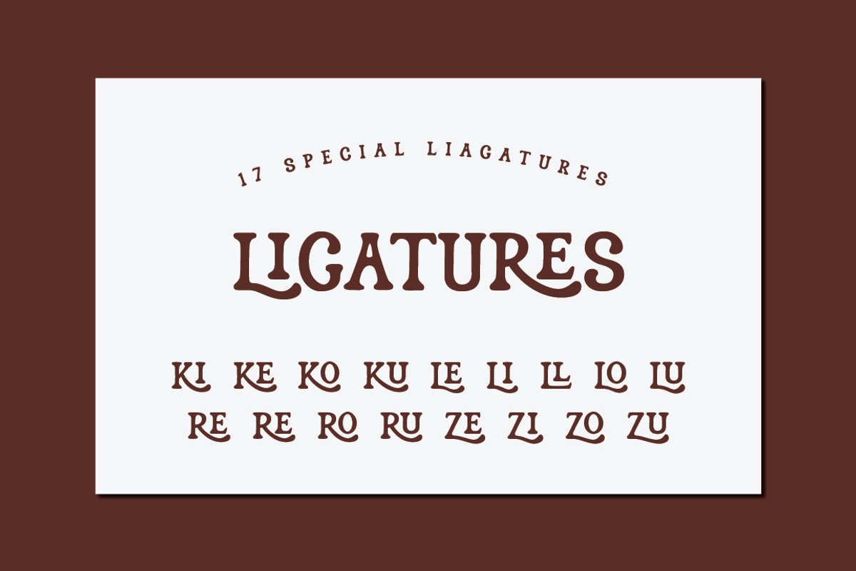 Alendro - Vintage Display Font, a Serif Font by Typebae (Photo 6 of 8)