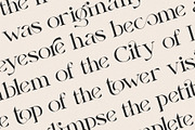 Shalomita, a Serif Font by Burntilldead (Thumbnail 6 of 14)