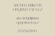 Demure - Clean Sans Serif, a Sans Serif Font by Mikhail Kitsune (Thumbnail 8 of 9)