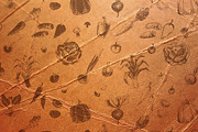 Hand-drawn vegetables. vector, a Food Illustration by Margo Miller (Thumbnail 5 of 5)