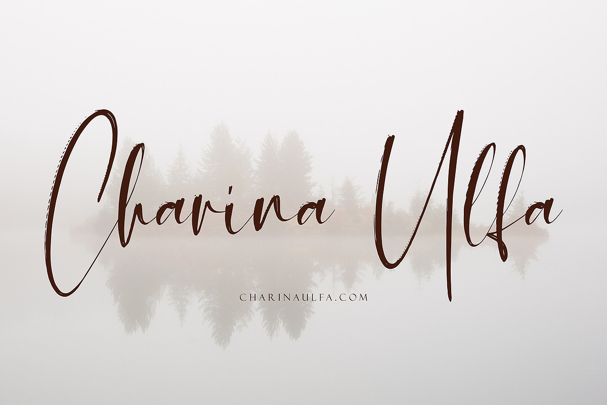 Devita, a Script Font by pineungtype (Photo 10 of 10)