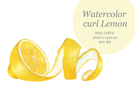 Watercolor curl Lemon