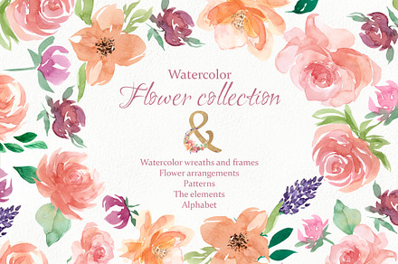 Watercolor flower collection