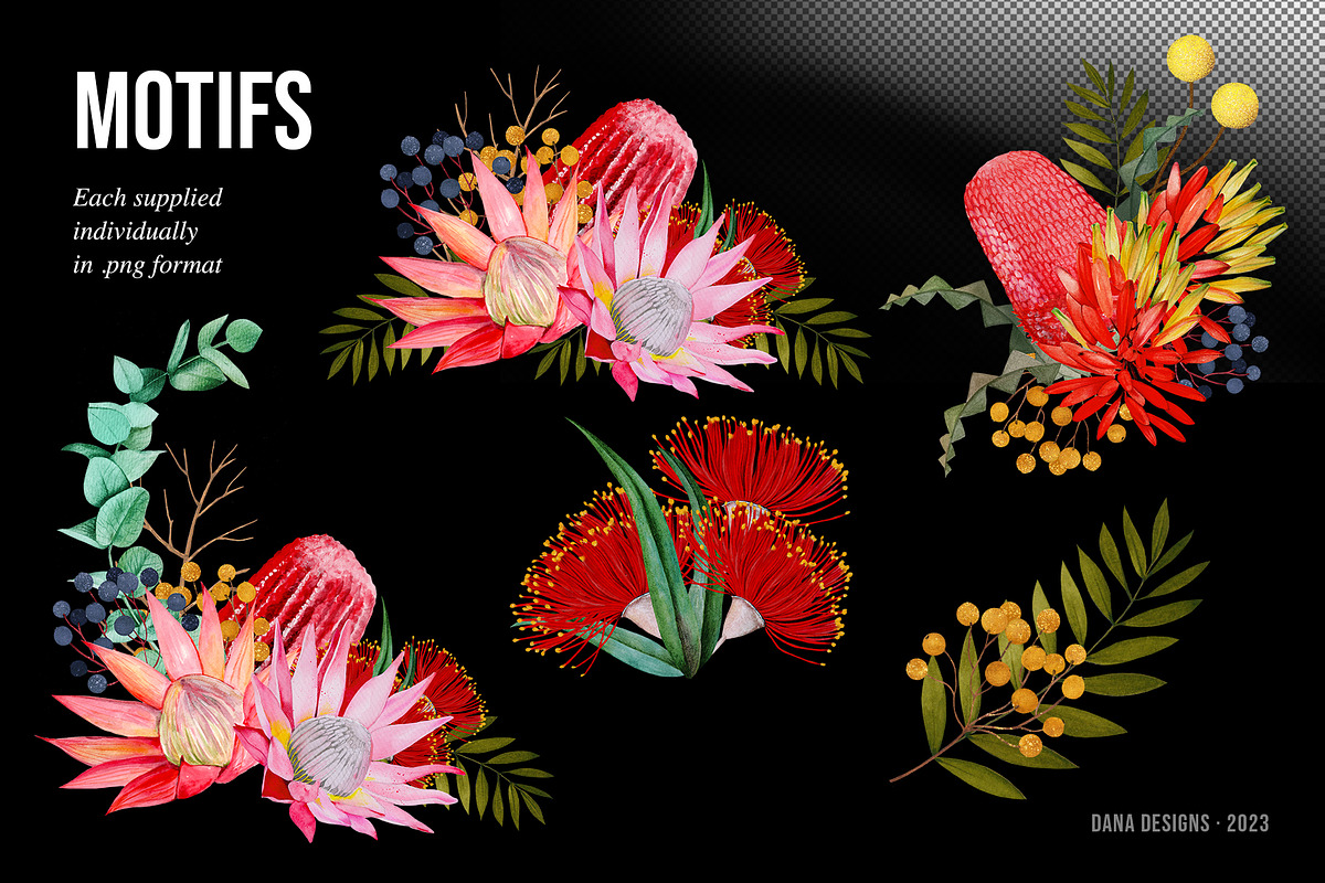 AUSTRALIA FAIR Elements, a Decorative Illustration by Dana Designs (Photo 6 of 14)