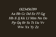 Molimer Family Serif Font, a Serif Font by Marvadesign (Thumbnail 8 of 11)