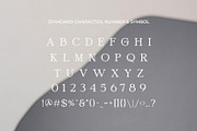 North Boutique, a Serif Font by epicatype (Thumbnail 7 of 7)