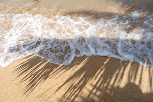 Palm tree shadow on Anaho Beach, Nuku Hiva, French Polynesia, a Nature Photo by GoodGoods