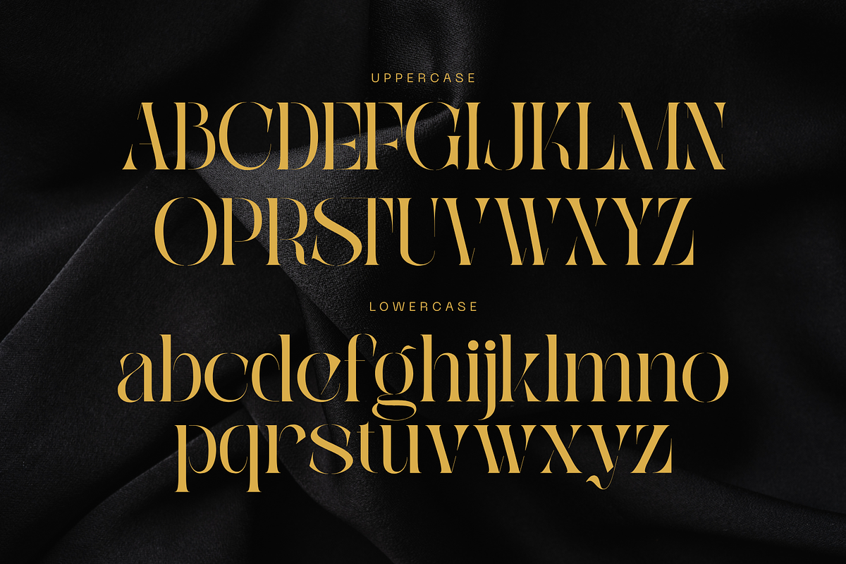 Qaska Luxury -  Branding Logo Font, a Serif Font by Nirmana Visual (Photo 8 of 10)
