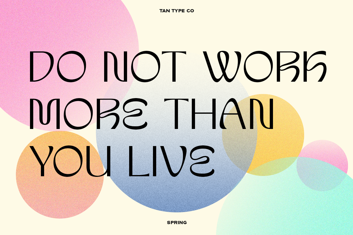 TAN-SPRING, a Sans Serif Font by TanType (Photo 9 of 13)
