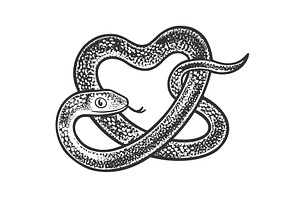 Snake In Form Of Heart Sketch Vector