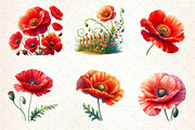 Corn Poppy Flower Bloom Clipart, an Illustration by Dream Creation (Thumbnail 2 of 6)