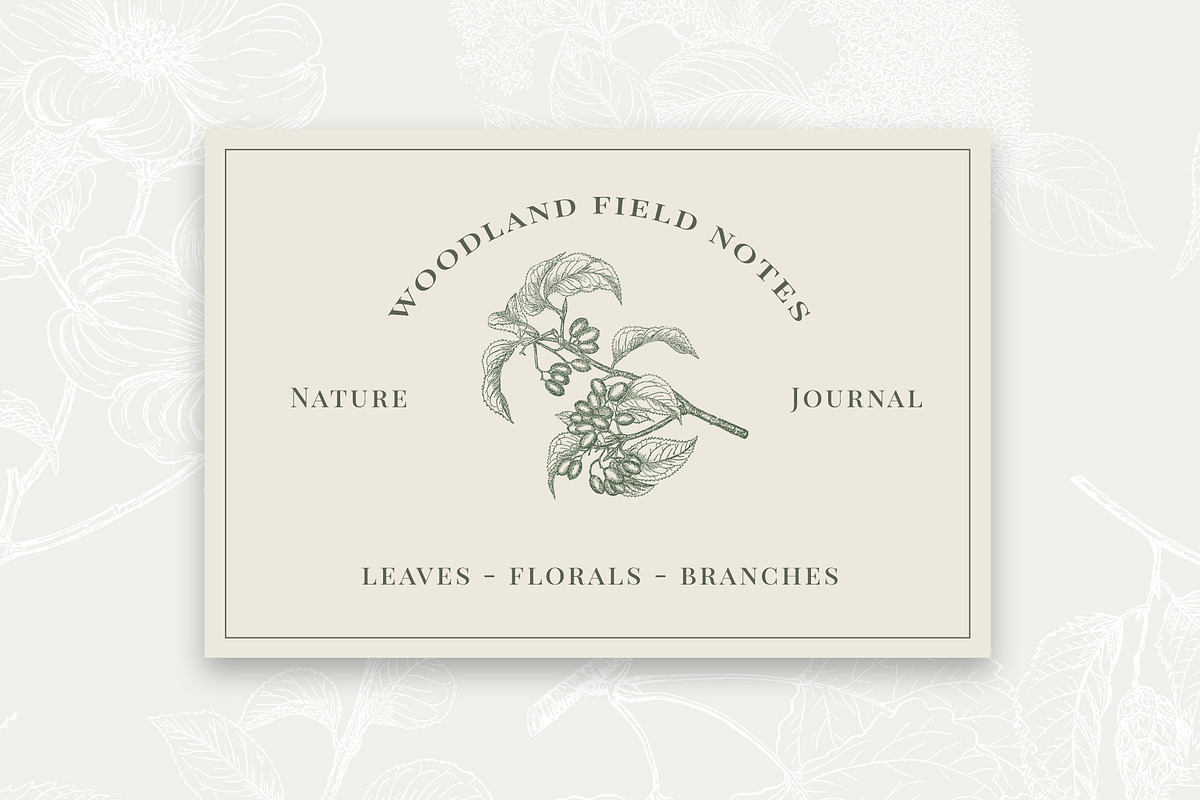 Vintage Leaf & Branch Illustrations, a Decorative Illustration by Century Library (Photo 8 of 9)