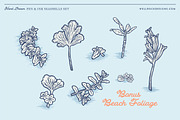 Sea Shells(Vector) + Beach Bonus, an Object Illustration by Well Rock Designs (Thumbnail 6 of 9)