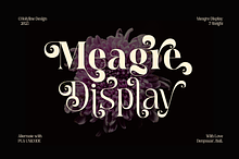 Meagre Display - 90s  Serif Family