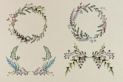 Leaves and Brunches, a Decorative Illustration by tinybunnyshop (Thumbnail 5 of 7)