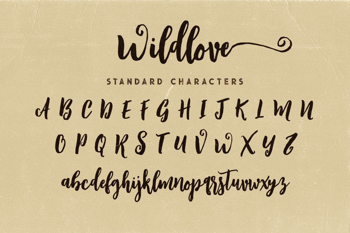 Wildlove Script Font preview 6