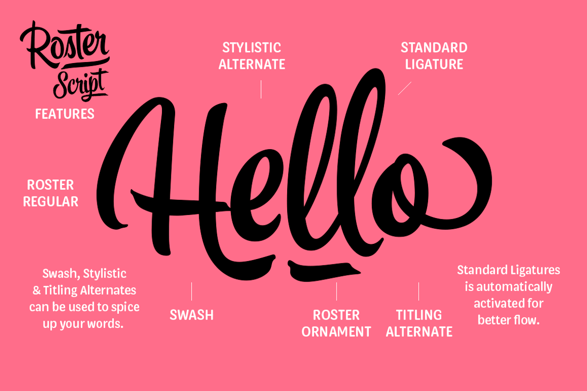 Roster Script + Extras (35% OFF), a Script Font by Fenotype (Photo 9 of 20)