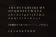 Kenna Elegant Serif Display Font, a Serif Font by Perfectype (Thumbnail 7 of 8)