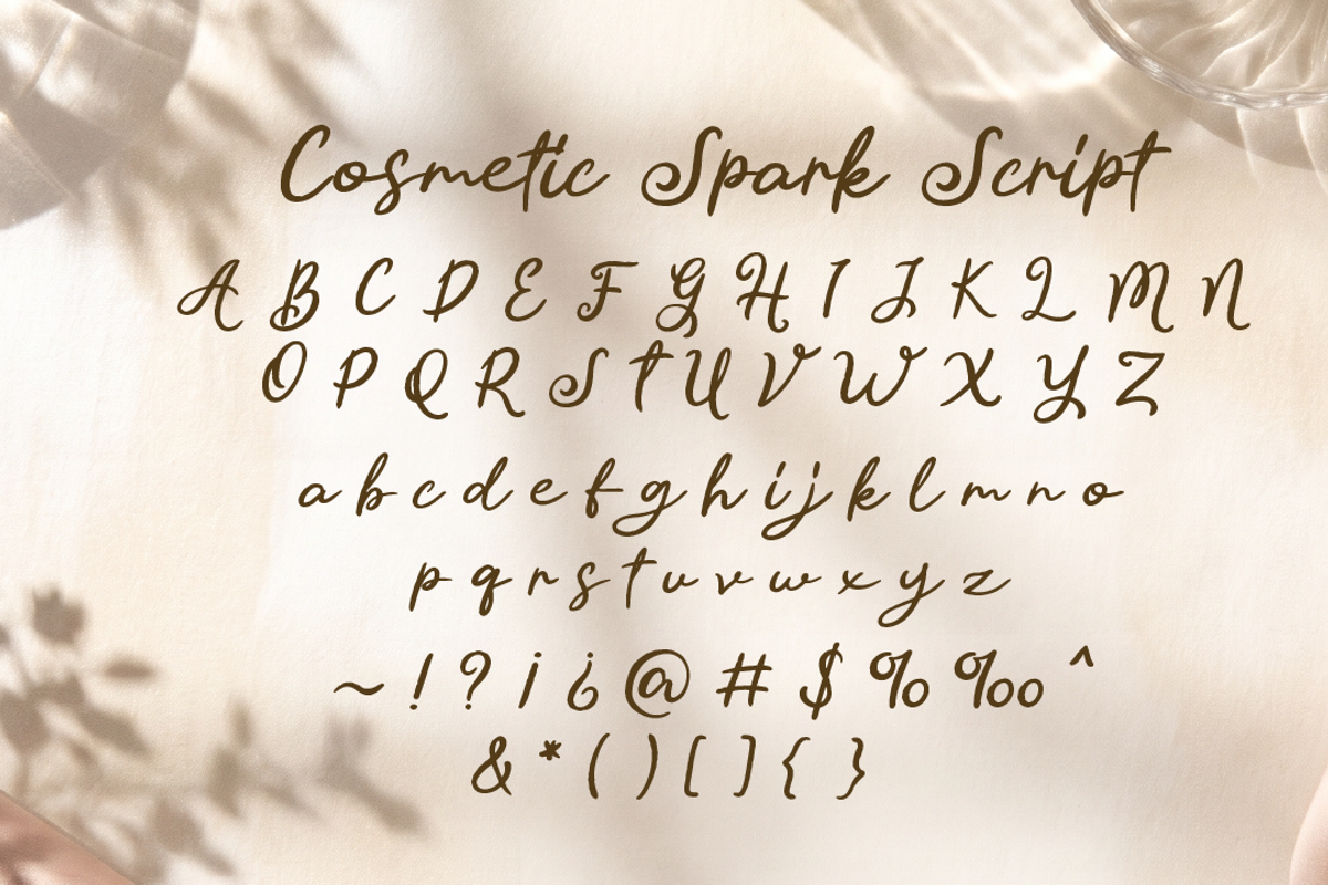 Cosmetic Spark - Luxury Beauty Font, a Font by Attype (Photo 8 of 9)