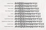 The zondaya Gevola | 30 Font, a Serif Font by Positive TypeFoundry (Thumbnail 6 of 18)