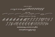 Hunterlost Modern Signature Font, a Script Font by Letterena Studios Script (Thumbnail 14 of 15)