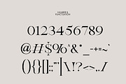 Botanika | Stylish Serif, a Serif Font by Muntab_Art (Thumbnail 11 of 11)