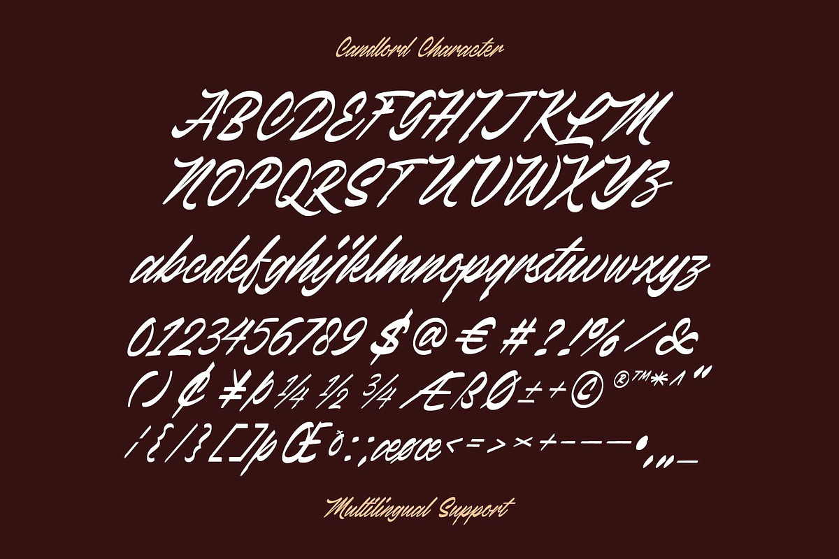 Canlord - Brush Font, a Script Font by Novitype (Photo 11 of 11)