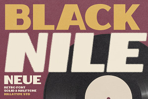 Blacknile Neue- Retro Display Font