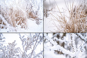 Frozen morning bundle /77pics, a Background Graphic by tydla (Thumbnail 7 of 12)