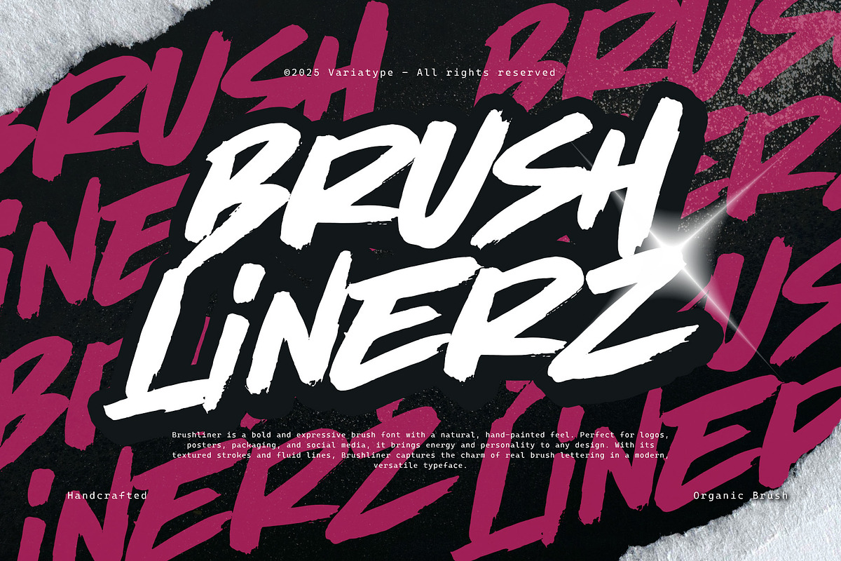 Brushlinerz - Expressive Brush Font, a Handwritten Font by Variatype (Photo 1 of 8)