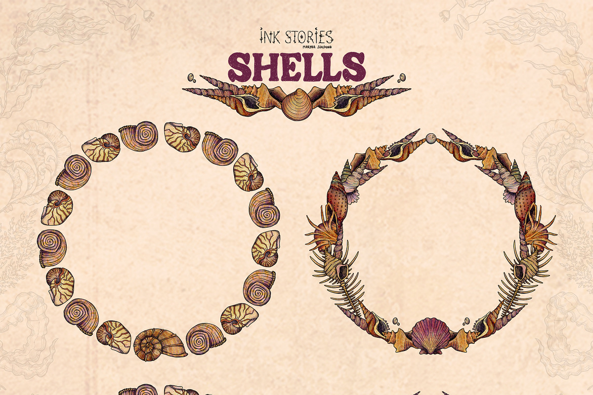 Shells, an Animal Illustration by Ink Stories (Photo 8 of 21)