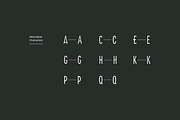 FREIGEL - Unique Display Font Family, a Sans Serif Font by Designova® (Thumbnail 6 of 10)