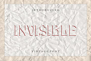 Invisible - Modern Display Font, a Serif Font by Vintage Font Lab (Thumbnail 1 of 2)