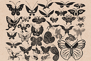 Butterfly Stamps for Procreate, a Brush Add-On by TheWhiteCatLab (Thumbnail 6 of 8)
