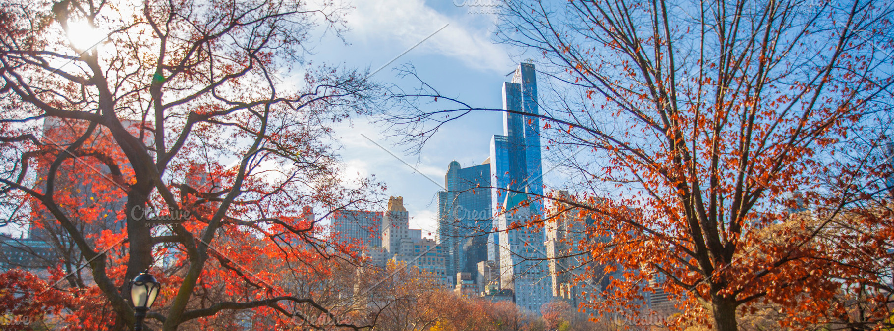 Autumn Central Park with modern Manhattan skyscrapers skyline in, a Photo by Pictures for you!!!!!!!!!