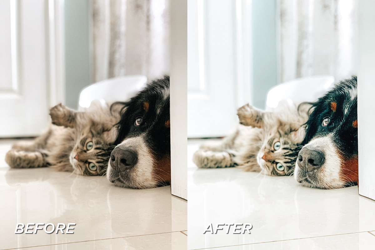 25 Bright Indoor Lightroom Presets, a Preset Add-On by TheWayfarerShoppe (Photo 9 of 9)