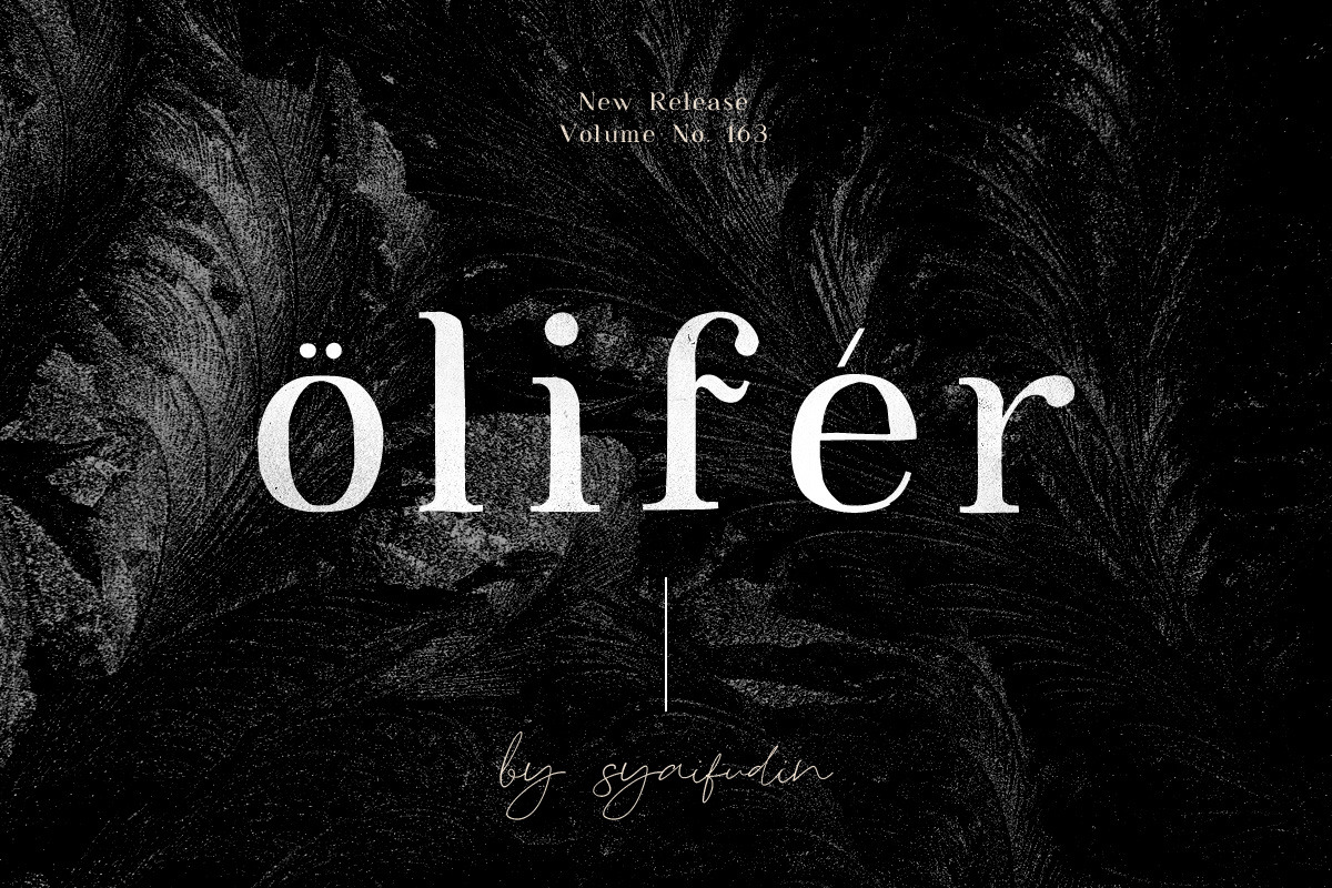 Minimalist Font Bundle • 80% OFF, a Serif Font by vuuuds (Photo 26 of 47)
