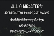 Strawberry Jam. Brush Font., a Script Font by Sentimental postman (Thumbnail 5 of 6)