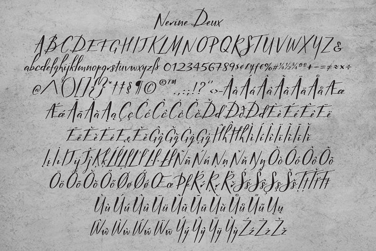 Nerine Deux, a Script Font by STUDIOWAYS (Photo 3 of 4)