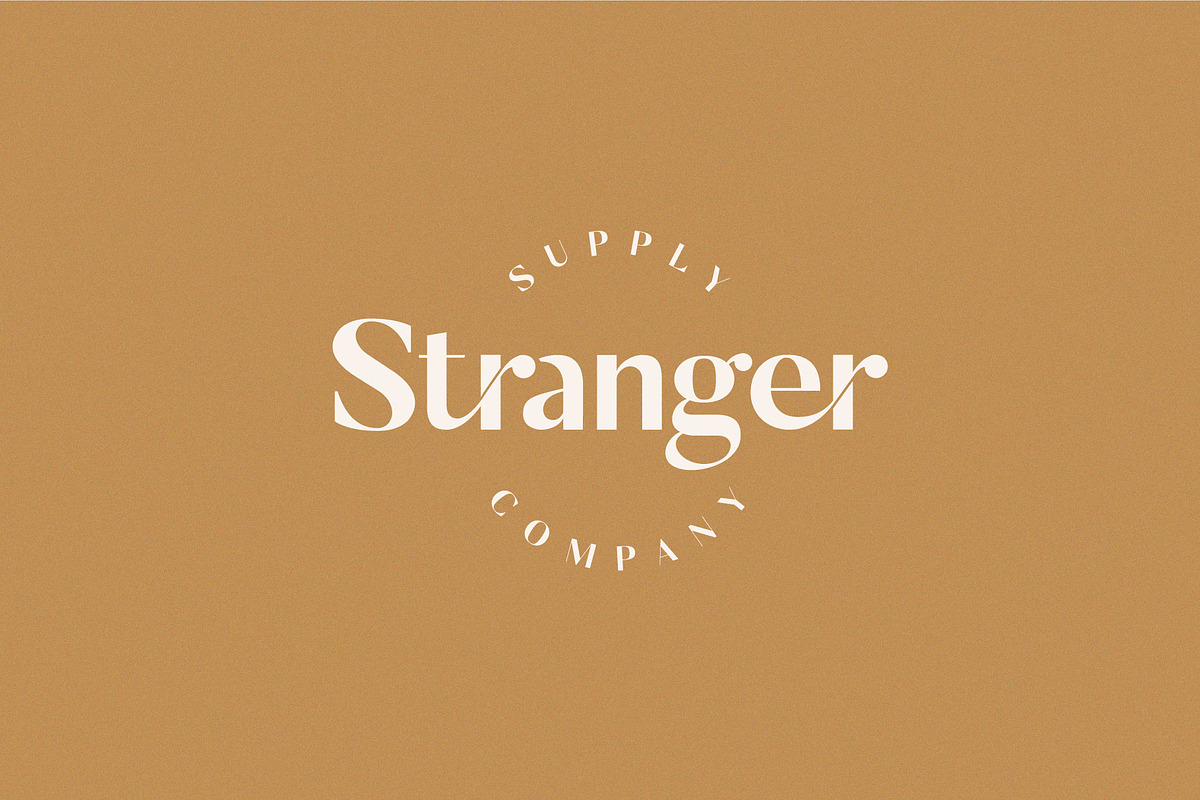 The Chic & Unique Modern Font Bundle, a Sans Serif Font by Tropical Type (Photo 24 of 40)