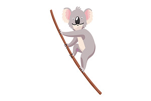 Cute cartoon koala bear isolated on, an Animal Illustration by the8monkey