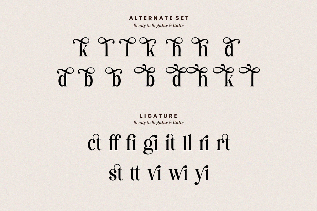 Destiny Gorgeous Font, a Serif Font by HansCo Studio (Photo 11 of 12)