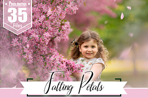 Falling Petals Photo Overlays, png