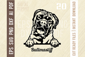 Bullmastiff SVG - Peeking Dog