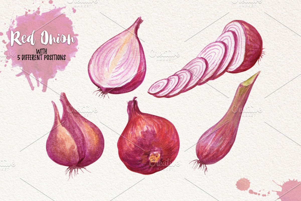 Watercolor Vegetables, Herbs, an Animal Illustration by Graphobia (Photo 11 of 12)